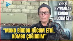 Wild animals attack this village in Azerbaijan: Injured woman recounts the incident