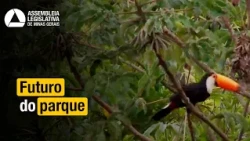 SERRA VERDE | Regularization delays implementation