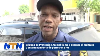 05 Animal Protection Brigade calls to stop the abuse and poisoning of dogs in SFM
