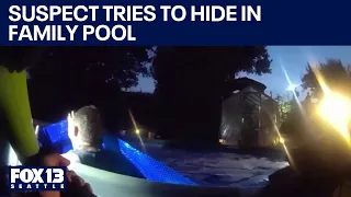 Pursuit suspect tries to hide in backyard pool | FOX 13 Seattle