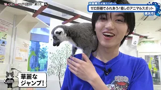 猫のひたいほどワイド #1776 潜入リポート・田倉暉久「最近みんな癒されテル？大人気●●スポット」（横浜市中区）