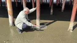 Fenomeni i rrallë në Shëngjin, eksperti i mjedisit sqaron dukurinë