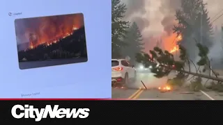 Artificial Intelligence content fanning the flames of misinformation online