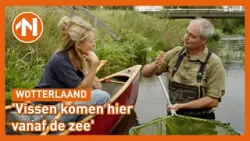 Margreet leert wat voor vissen er in de Westerwoldse wateren leven | Wotterlaand