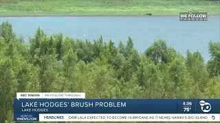 Hundreds of acres of brush at Lake Hodges raise wildfire concerns in North County