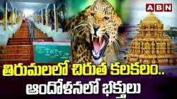 తిరుమలలో చిరుత కలకలం..ఆందోళనలో భక్తులు | Tiger Spotted In Tirumala Steps Route | ABN Telugu