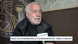 NASCE UN CONSORZIO PER LA VALORIZZAZIONE DEL ''GRECO'' DI BIANCO