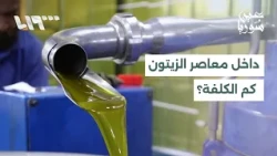 Olive Report