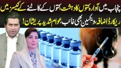 Punjab Main Kutto Kay Katnay Kay Cases Mian Izafa | News Night | 4 March 2026 | Lahore Rang