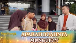 APAKAH BUAHNYA MUNCUL??? | ABRAKADABRA RTV