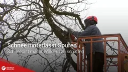 Schnee hinterlässt Spuren: Schneelast macht Wäldern zu schaffen