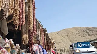 Badakhshan pistachio harvest falls