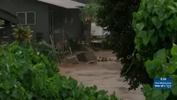 Городские власти просят жителей самостоятельно сообщать о повреждениях, причиненных штормом.