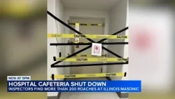 Cockroach infestation leads to suspension of Chicago hospital cafeteria license