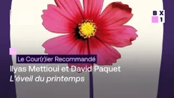 LCR - Ilyas Mettioui et David Paquet