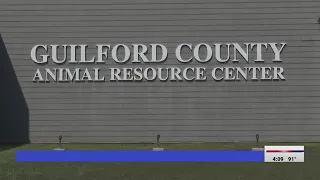 More rabies cases reported in Guilford County