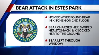 Woman in 80s attacked by bear in Estes Park home