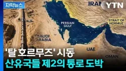 [자막뉴스] 이란의 '낙장불입' 선언...중동 산유국들이 꺼내든 대안 / YTN