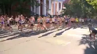 Thousands of runners cross finish line in Faxon Law New Haven Road Race