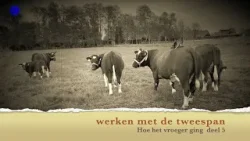 2026 01 05 Hoe het vroeger ging afl 5 Werken met de tweespan Gemert Andre van Bussel