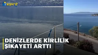 DENİZLERDE KİRLİLİK ŞİKAYETİ ARTTI
