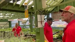 Что следует и чего не следует делать при посадке и цветении растений перед весной. Что следует и чего не следует делать при посадке и цветении растений перед весной.