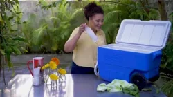 Descubre cómo preparar un delicioso burrito de pollo en Gusto Expreso