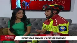 ? Huellitas en Gama | Adiestramiento y Bienestar Animal  /  23/1/2026