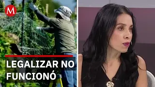 Crisis en mercado legal de mariguana: narcotráfico resurge mientras cierran miles de negocios