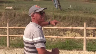 HOW TO TRAIN A HORSE