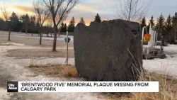 ‘Brentwood five’ memorial plaque missing from Calgary park