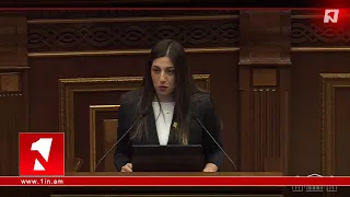 Օդ ու ջրի պես պետք են ոչ դրսածին քաղաքական ուժեր. Հռիփսիմե Գրիգորյան