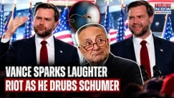 JD Vance's This Mosquito Joke Sparks Laughter at Texas Rally As VP Quips 'Chuck Schumer Paid For...'