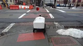 St. Petersburg considers food delivery robots; human couriers say it threatens their income