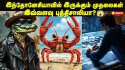 இந்த வகை நண்டு ஏன் வாழ்நாள் முழுக்க வீட்டை கட்டுகிறது ?? Therinthu Kolvom | Vasanth TV இந்த வகை நண்டு ஏன் வாழ்நாள் முழுக்க வீட்டை கட்டுகிறது ?? Therinthu Kolvom | Vasanth TV