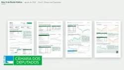 X-ray of the Brazilian public debt - 08/10/2026