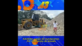 🌊 Advierten riesgo de inundaciones por eliminación de árboles