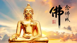 淨空老法師｜念佛成佛｜心行不違背這五科，是真正的淨業行人-第2044集