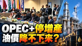OPEC+ Halts Output Hikes! Iran Conflict Blocks Strait of Hormuz: Will Oil Prices Fuel Global Infl...