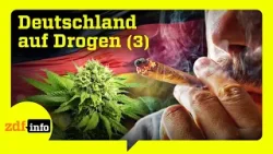Provinz im Rausch: Cannabis-Hotspot an der deutschen Küste | Teil 3/3 | ZDFinfo Doku