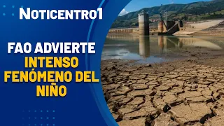 | Canal 1 News