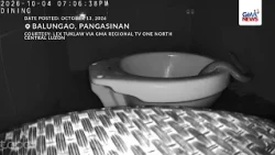 Cobra, pumasok sa loob ng inidoro | GMA News