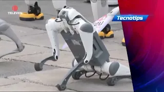 TecnoTips: Robots realizaron manifestación en Polonia – El Noticiero primera emisión