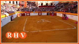 La construcció de la Plaça de Bous d’Algemesí és declarada BIC