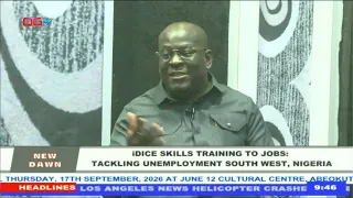 IDICE: Tackling Youth Unemployment in South-West Nigeria | New Dawn