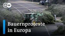 Warum protestieren zehntausende Bauern gegen die EU-Agrarpolitik? | DW Nachrichten