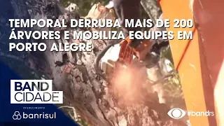 Storm knocks down over 200 trees and mobilizes crews in Porto Alegre