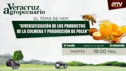 Veracruz Agropecuario - Diversificación de los productos de la colmena y producción de polen