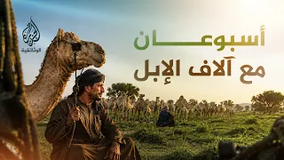 الخطلة.. رحلة الإبل التي تجمع قبائل ظفار