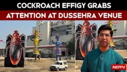 Cockroach Effigy Sparks Buzz At Delhi Ramlila Ground In Pitampura, Organisers Deny Political Link